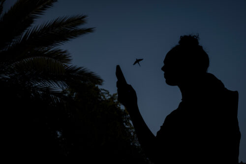 הפשוטע הרדיקלית (צילום: אורן זיו)