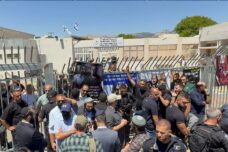 צבי סוכות בביקור בטובא-זנגרייה, ב-4 ביוני 2026 (צילום: באדיבות התושבים) צבי סוכות בביקור בטובא-זנגרייה, ב-4 ביוני 2026 (צילום: באדיבות התושבים)