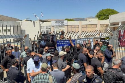 צבי סוכות בביקור בטובא-זנגרייה, ב-4 ביוני 2026 (צילום: באדיבות התושבים) צבי סוכות בביקור בטובא-זנגרייה, ב-4 ביוני 2026 (צילום: באדיבות התושבים)