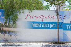 קברים נעקרו באלפים, הוצאו שלדים, רסיסי עצמות, גולגולות. הקיר עם ההדמיות סביב לבריכת ממילא (צילום: תמנה רוז פרץ)