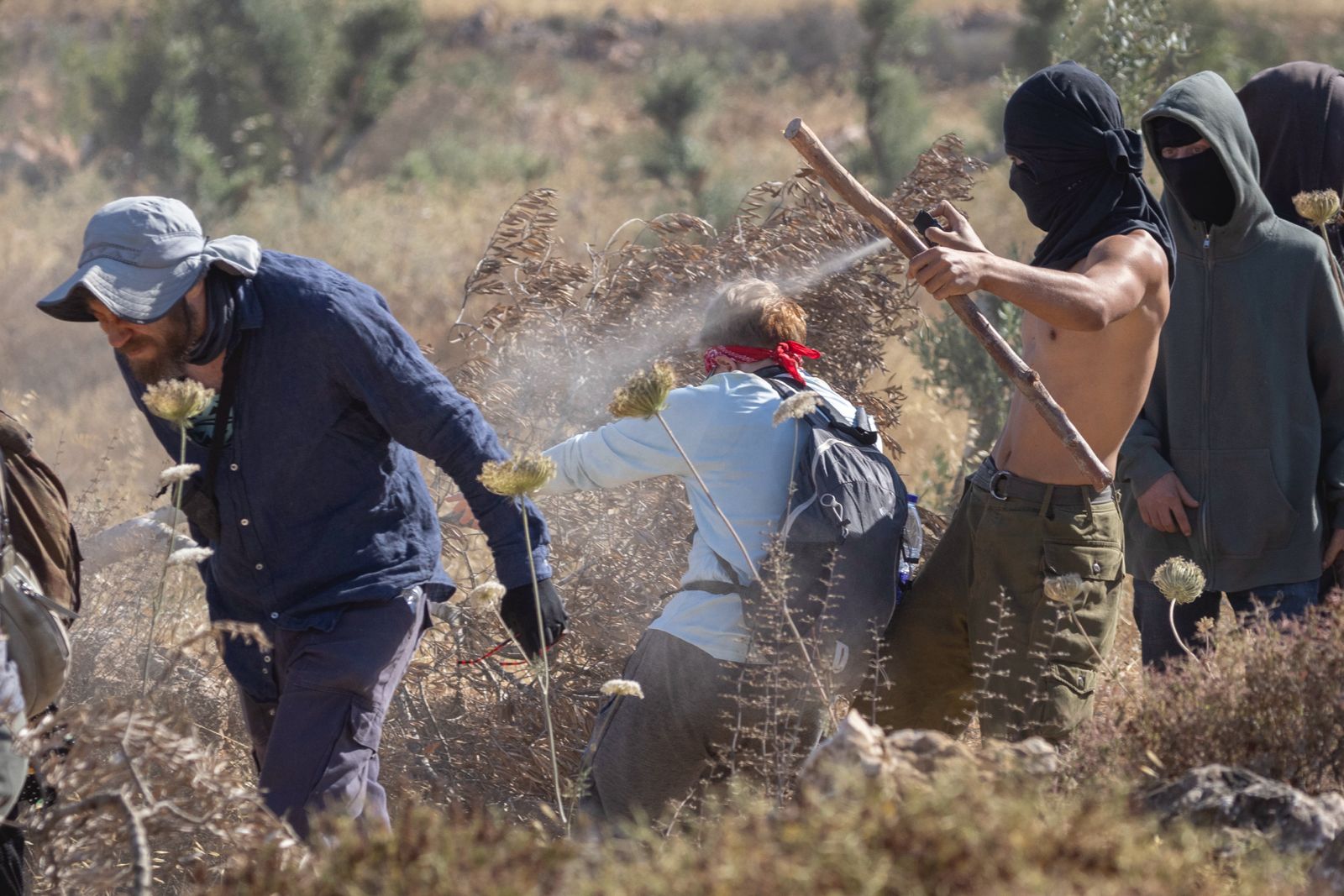 מתנחלים תוקפים חקלאים פלסטינים ופעילים באדמות הכפר ח'רבת אבו פלאח, ב-3 ביולי 2026 (צילום: אורן זיו)