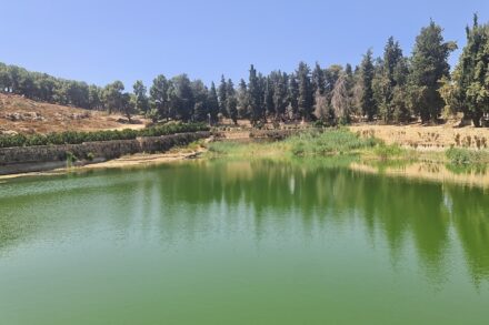 בריכות שלמה (צילום: אורי ארליך)