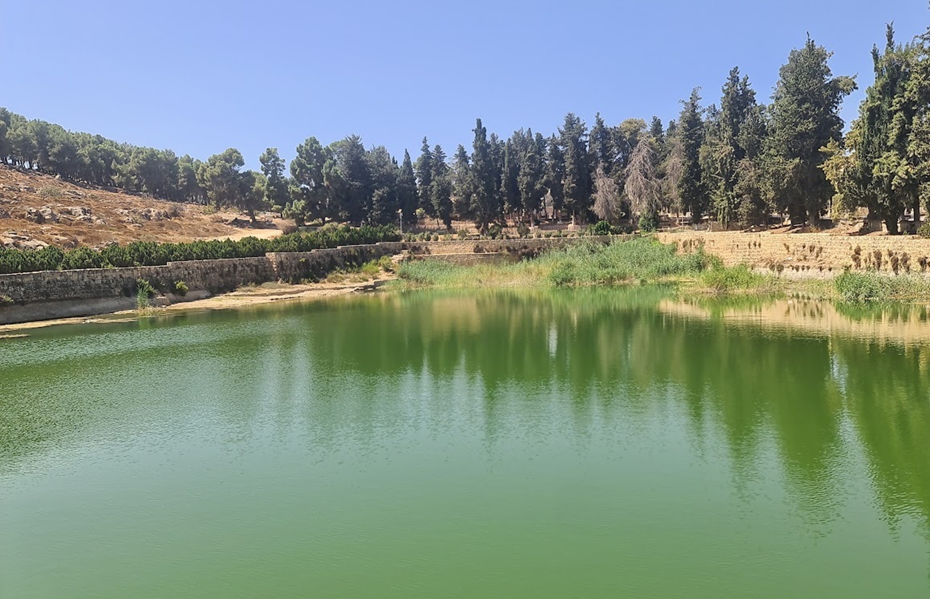 בריכות שלמה (צילום: אורי ארליך)
